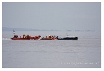 Row and Rescue 083